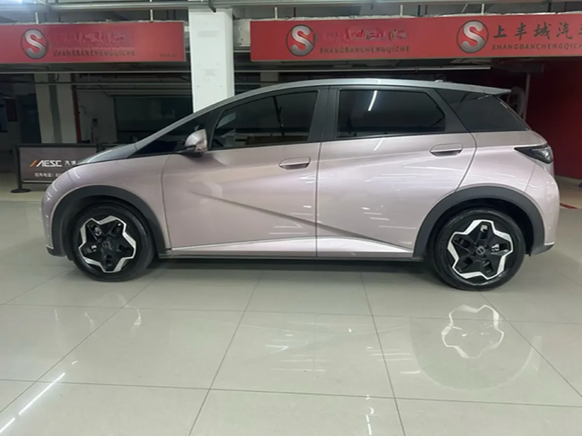 2021 BYD Yuan Pro BEV 50.1KWH,autocango,china used car exporter,china ev exporter,chinese used car exporter,chinese used ev exporter