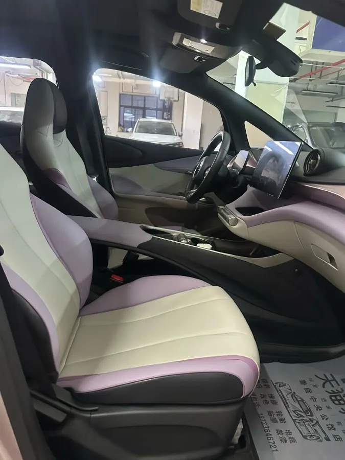 2021 BYD Yuan Pro BEV 50.1KWH,autocango,china used car exporter,china ev exporter,chinese used car exporter,chinese used ev exporter