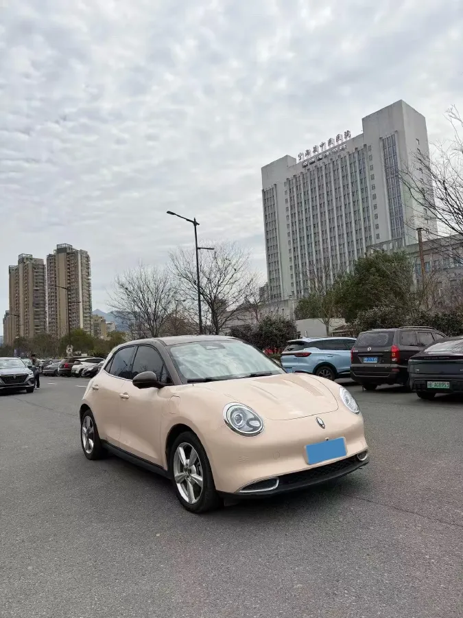 2021 Ora FunkyCat BEV 45.99KWH,autocango,china used car exporter,china ev exporter,chinese used car exporter,chinese used ev exporter