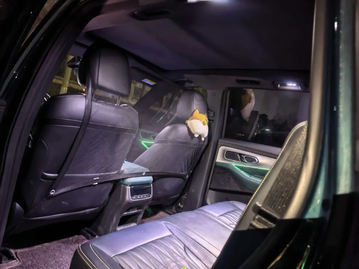 2022 GAC Trumpchi GS8 2.0T 252HP L4 8AT,autocango,china used car exporter,china ev exporter,chinese used car exporter,chinese used ev exporter