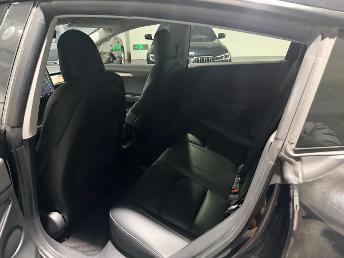 2021 Tesla Model 3 BEV 55KWH,autocango,china used car exporter,china ev exporter,chinese used car exporter,chinese used ev exporter