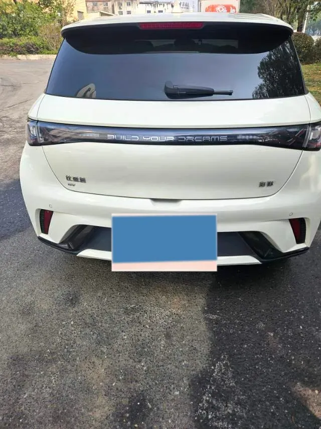 2024 BYD Dolphin BEV 44.928KWH,autocango,china used car exporter,china ev exporter,chinese used car exporter,chinese used ev exporter