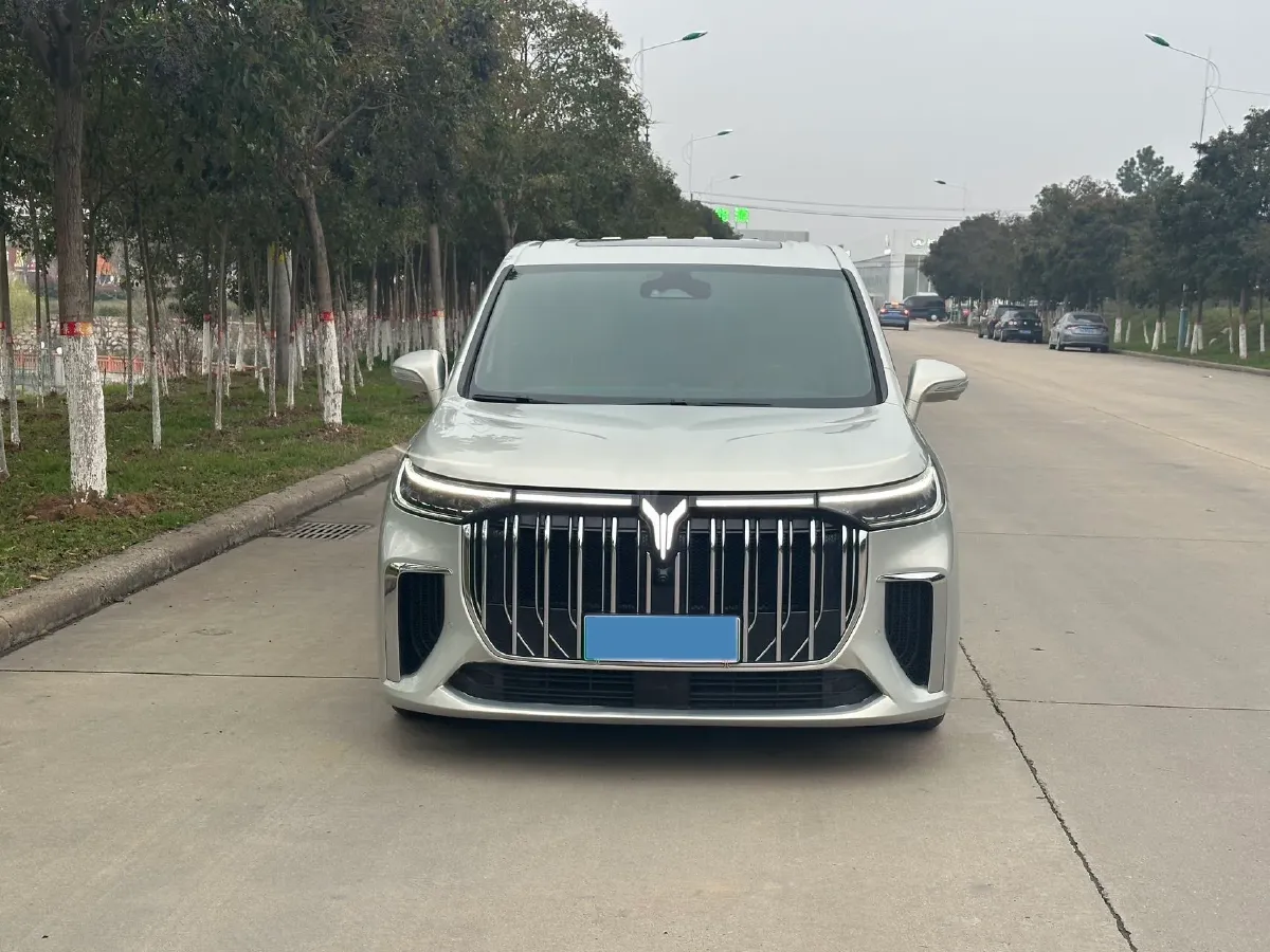 2022 Voyah Dream 1.5T 136HP L4 PHEV 25.57KWH,autocango,china used car exporter,china ev exporter,chinese used car exporter,chinese used ev exporter