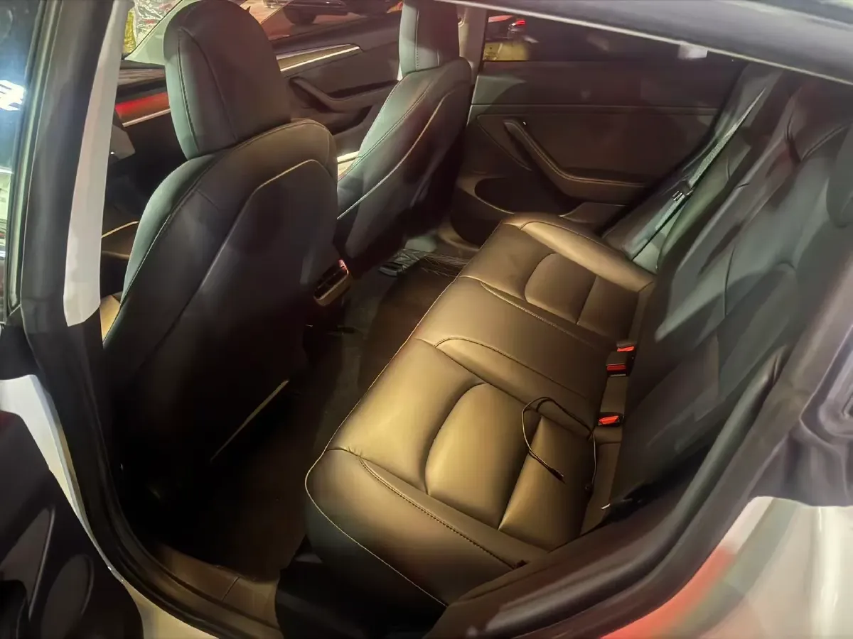 2021 Tesla Model 3 BEV 55KWH,autocango,china used car exporter,china ev exporter,chinese used car exporter,chinese used ev exporter