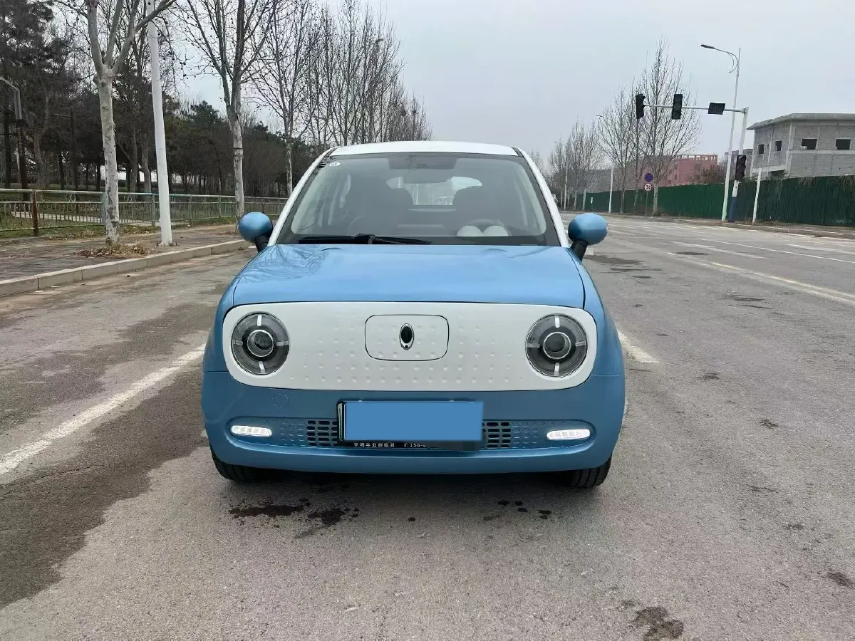 2021 Ora BlackCat BEV 33KWH,autocango,china used car exporter,china ev exporter,chinese used car exporter,chinese used ev exporter