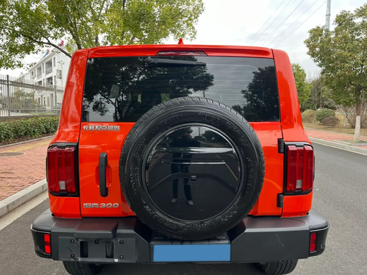 2024 Tank 300 2.0T 227HP L4 8AT,autocango,china used car exporter,china ev exporter,chinese used car exporter,chinese used ev exporter