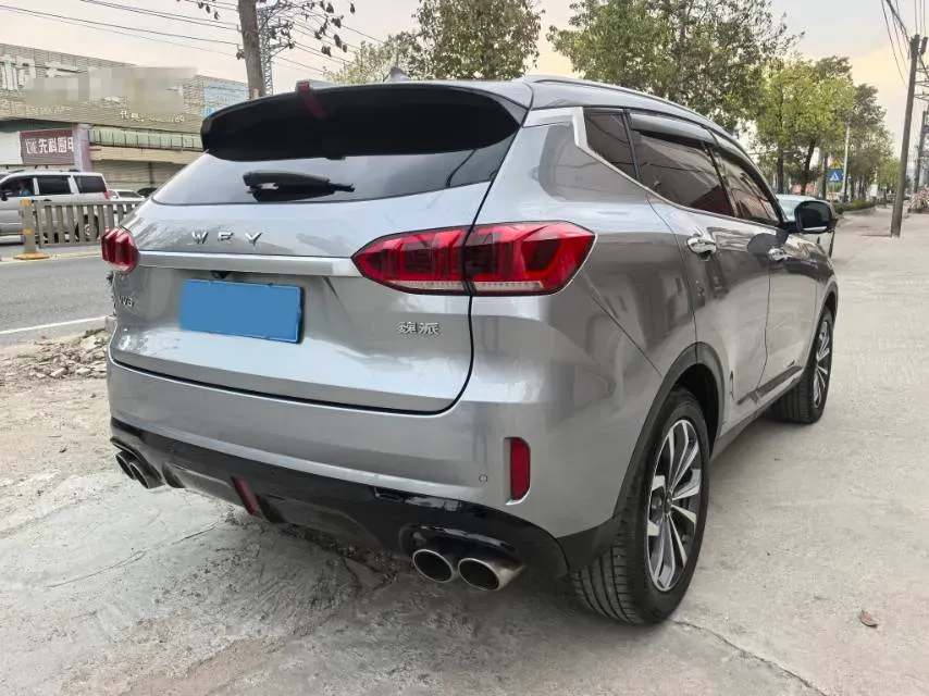 2021 WEY VV6 2.0T 227HP L4 7DCT,autocango,china used car exporter,china ev exporter,chinese used car exporter,chinese used ev exporter
