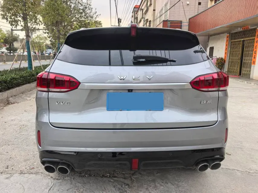 2021 WEY VV6 2.0T 227HP L4 7DCT,autocango,china used car exporter,china ev exporter,chinese used car exporter,chinese used ev exporter