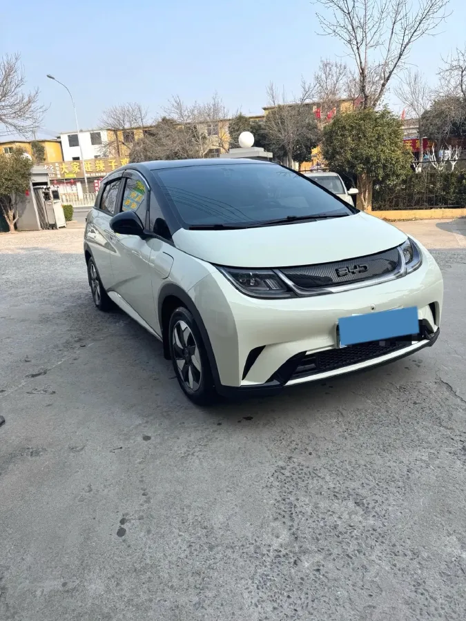 2025 BYD Dolphin BEV 44.928KWH,autocango,china used car exporter,china ev exporter,chinese used car exporter,chinese used ev exporter