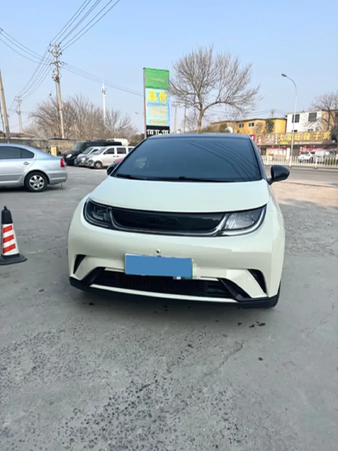 2025 BYD Dolphin BEV 44.928KWH,autocango,china used car exporter,china ev exporter,chinese used car exporter,chinese used ev exporter