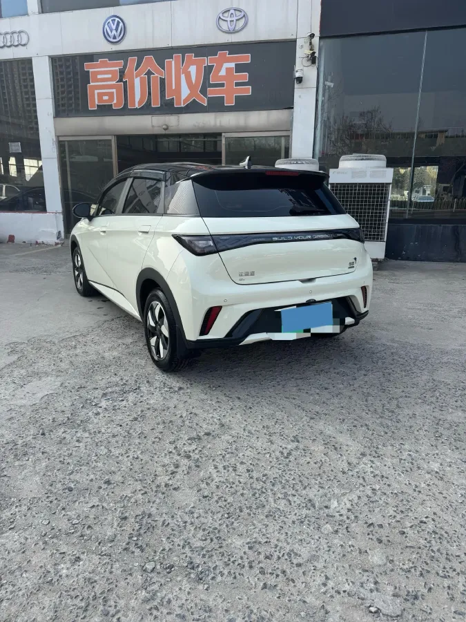 2025 BYD Dolphin BEV 44.928KWH,autocango,china used car exporter,china ev exporter,chinese used car exporter,chinese used ev exporter