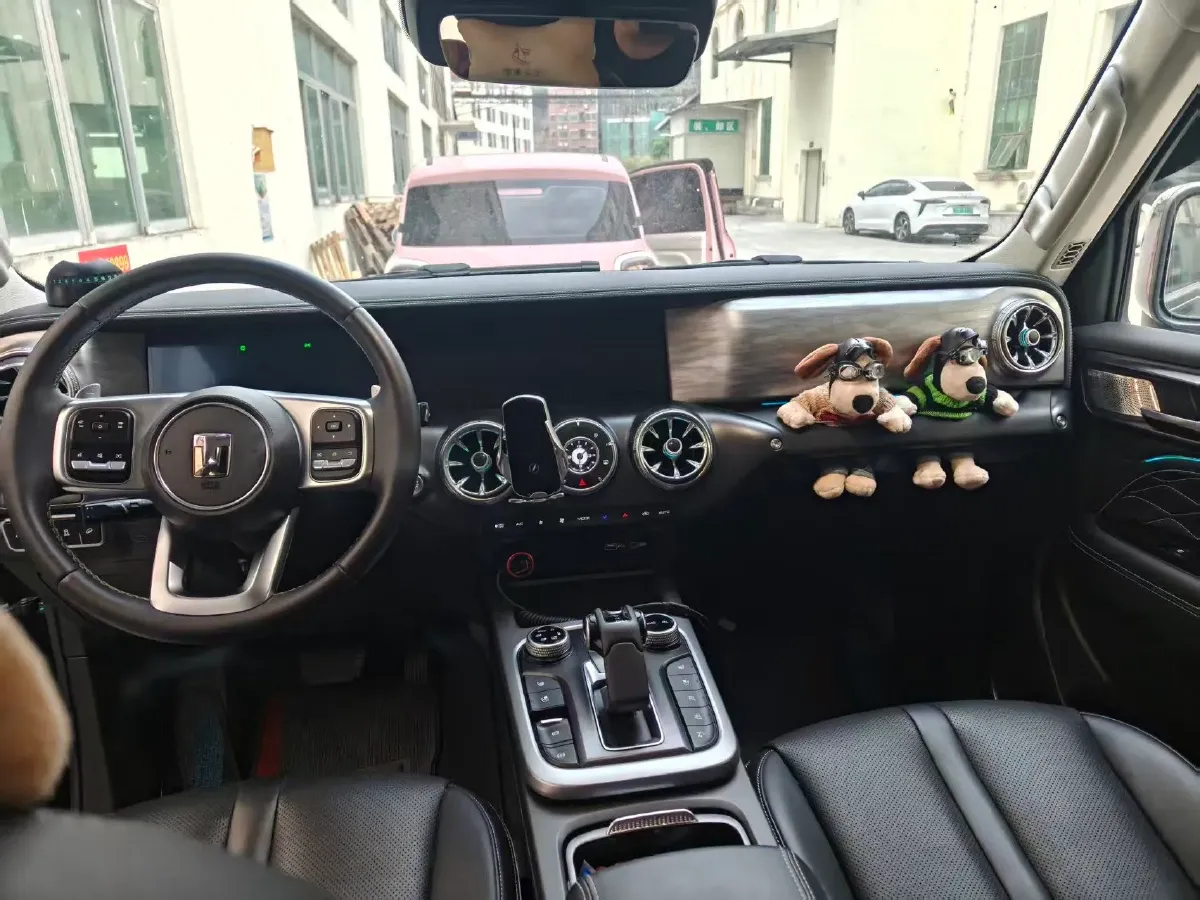 2024 Tank 300 2.0T 252HP L4 9AT,autocango,china used car exporter,china ev exporter,chinese used car exporter,chinese used ev exporter