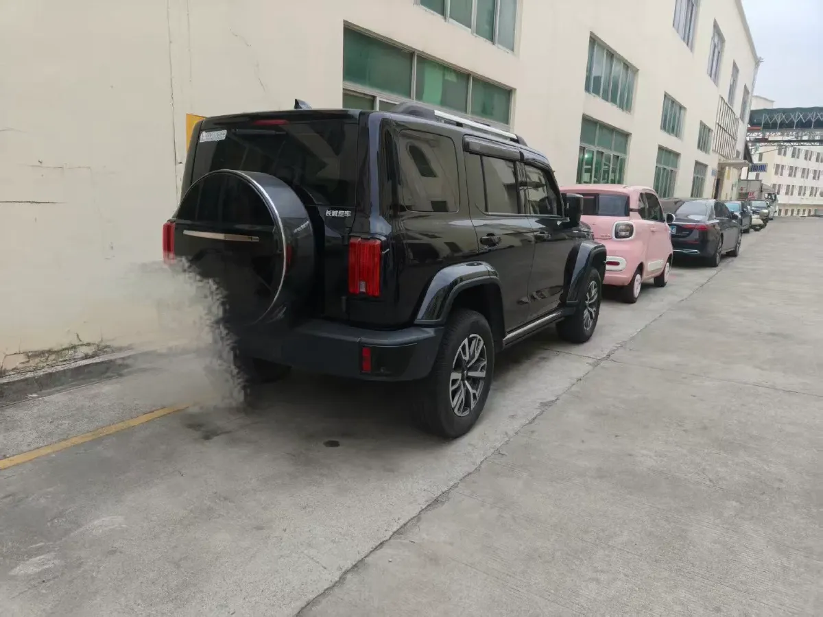 2024 Tank 300 2.0T 252HP L4 9AT,autocango,china used car exporter,china ev exporter,chinese used car exporter,chinese used ev exporter