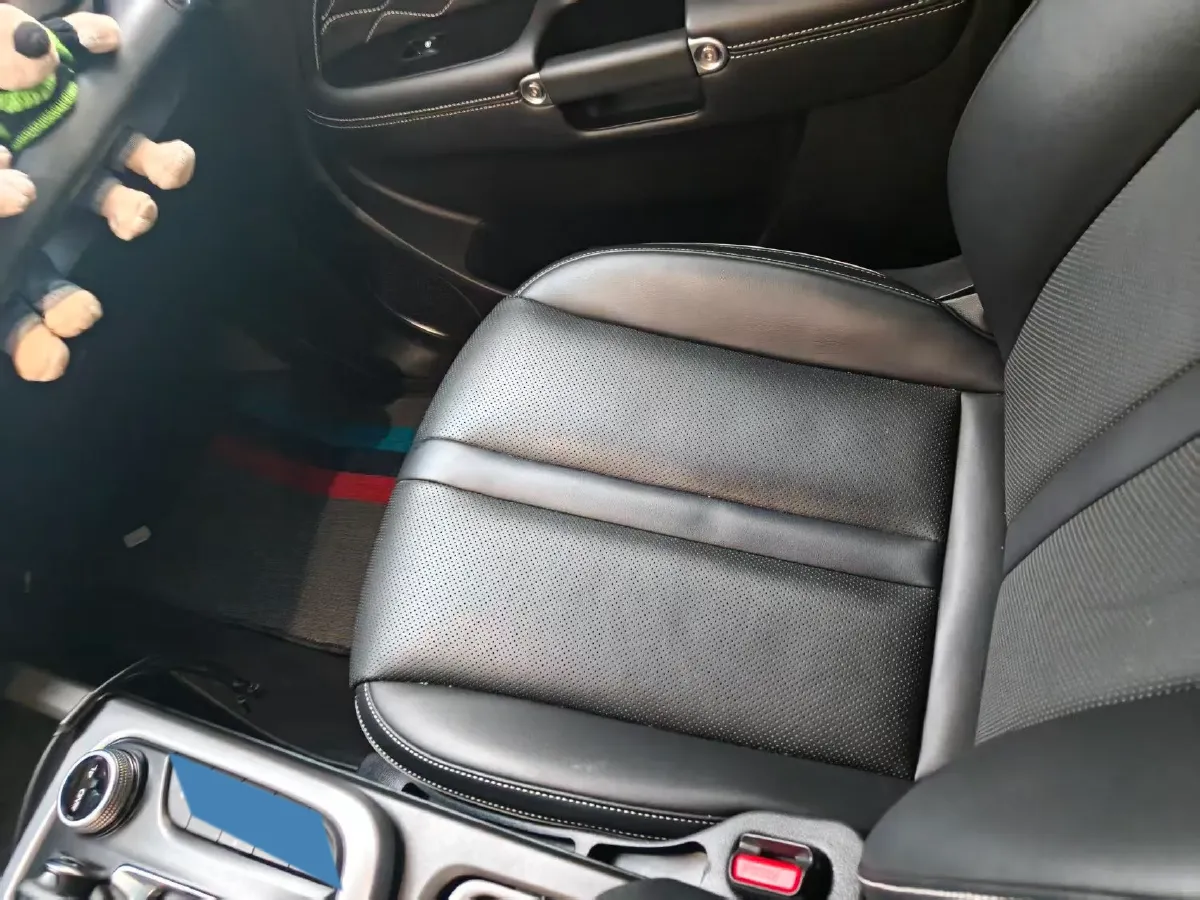 2024 Tank 300 2.0T 252HP L4 9AT,autocango,china used car exporter,china ev exporter,chinese used car exporter,chinese used ev exporter