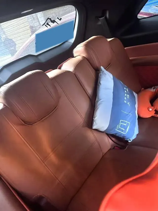 2023 WEY BlueMountain 1.5T 154HP L4 2DHT PHEV 44.5KWH,autocango,china used car exporter,china ev exporter,chinese used car exporter,chinese used ev exporter