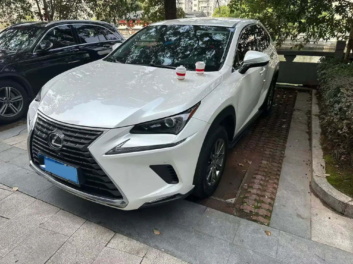 2020 Lexus NX 2.0L 150HP L4 CVT,autocango,china used car exporter,china ev exporter,chinese used car exporter,chinese used ev exporter