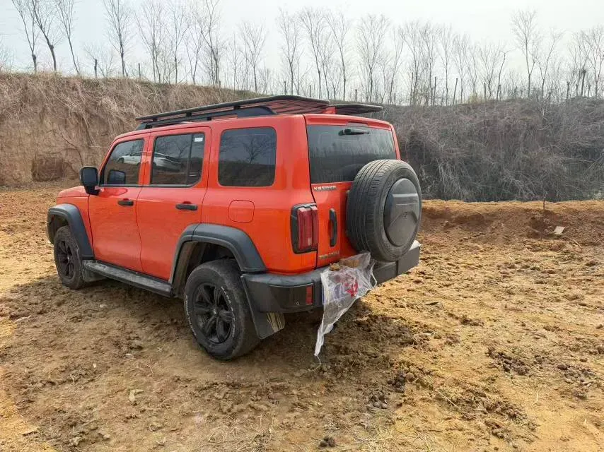 2025 Tank 300 2.0T 227HP L4 9AT,autocango,china used car exporter,china ev exporter,chinese used car exporter,chinese used ev exporter