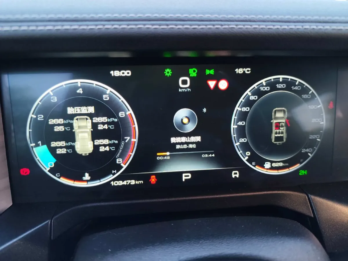 2021 Tank 300 2.0T 227HP L4 8AT,autocango,china used car exporter,china ev exporter,chinese used car exporter,chinese used ev exporter