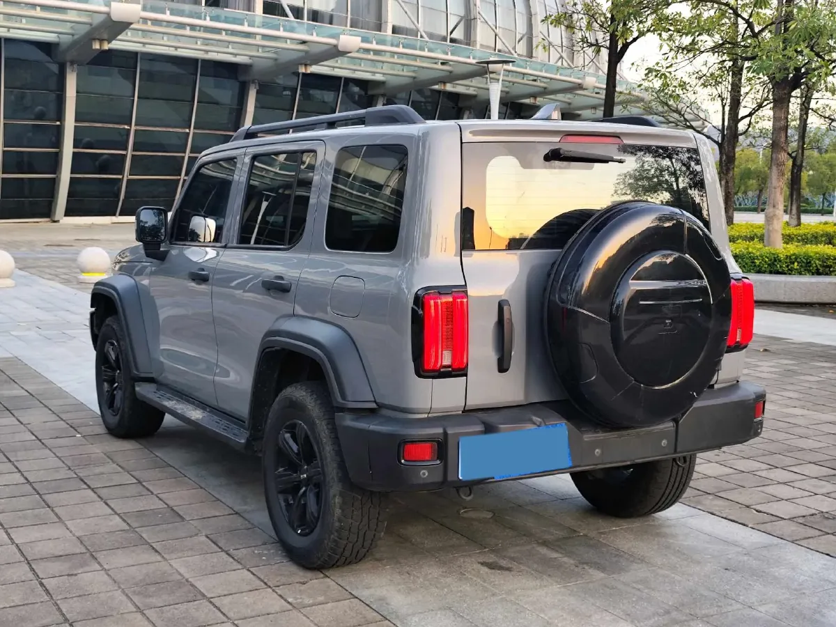 2021 Tank 300 2.0T 227HP L4 8AT,autocango,china used car exporter,china ev exporter,chinese used car exporter,chinese used ev exporter