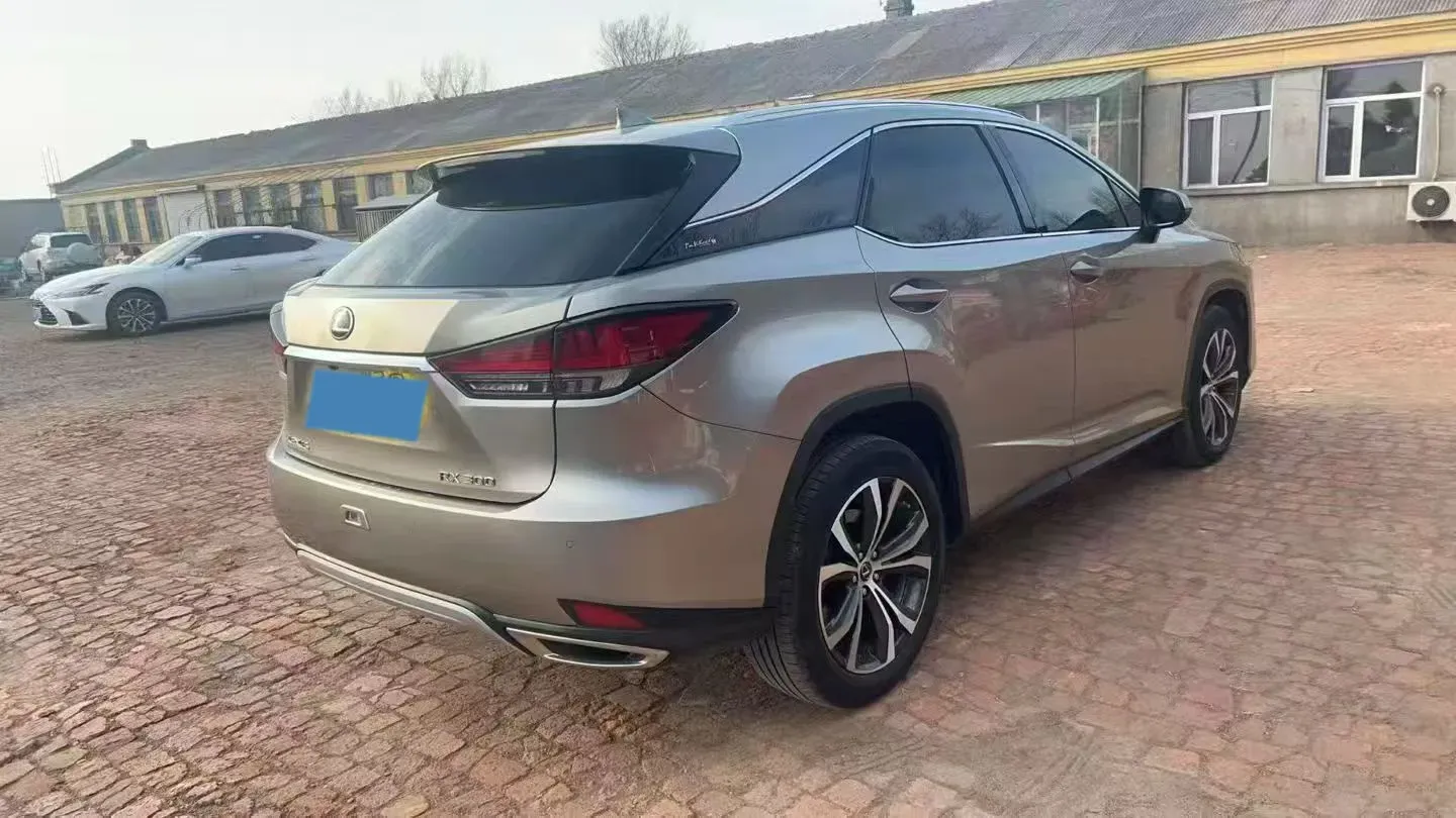 2020 Lexus RX 2.0T 231HP L4 6AT,autocango,china used car exporter,china ev exporter,chinese used car exporter,chinese used ev exporter