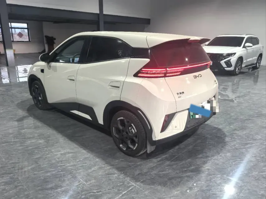 2025 BYD Seagull BEV 30.08KWH,autocango,china used car exporter,china ev exporter,chinese used car exporter,chinese used ev exporter