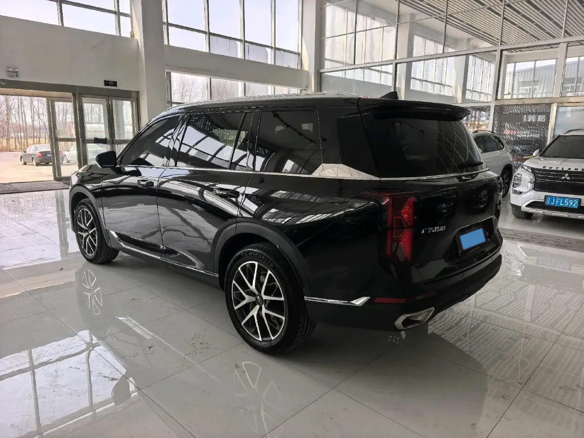 2024 GAC Trumpchi GS8 2.0T 252HP L4 8AT,autocango,china used car exporter,china ev exporter,chinese used car exporter,chinese used ev exporter