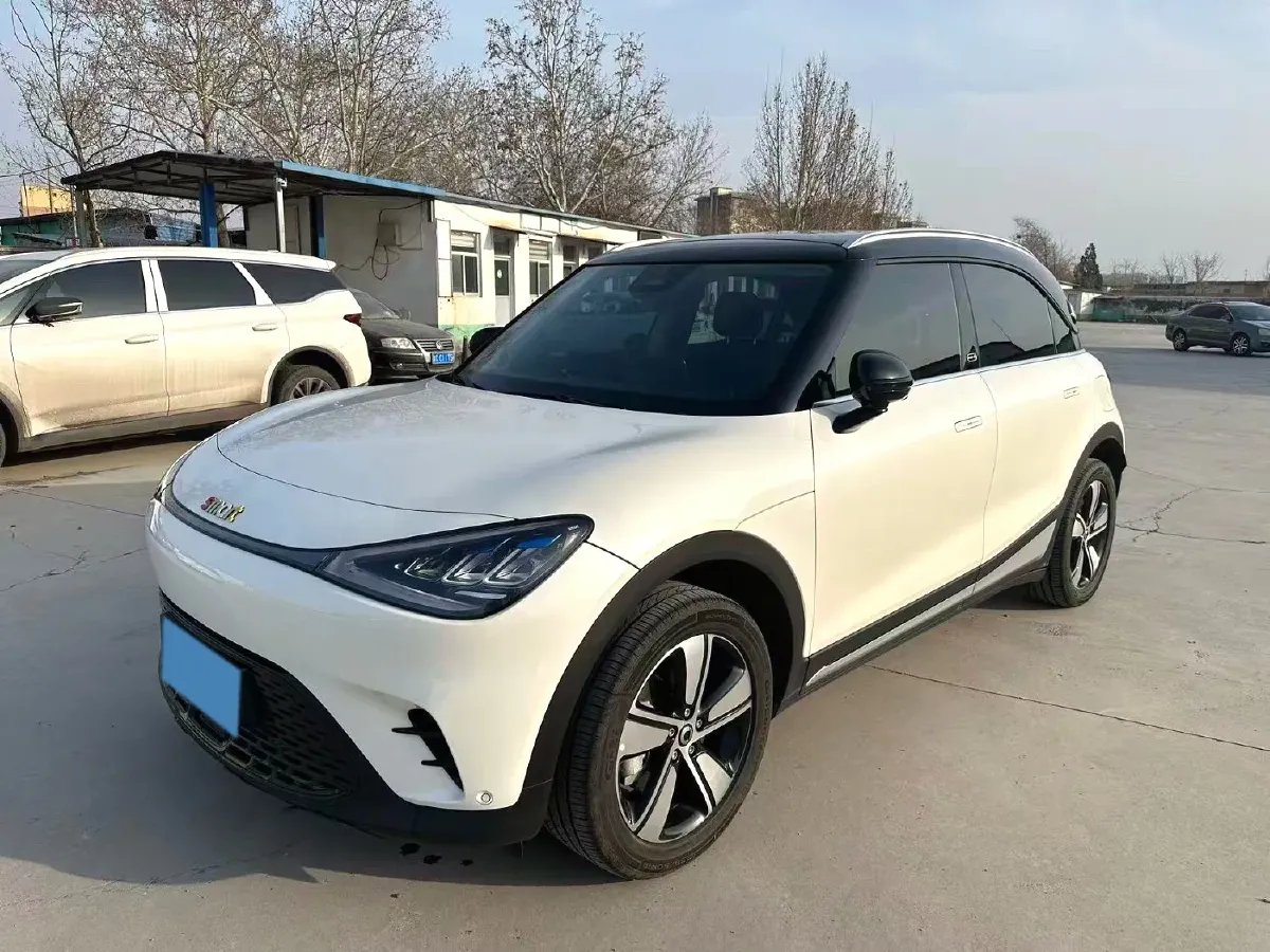 2024 Smart smart Elf 1 BEV 49KWH,autocango,china used car exporter,china ev exporter,chinese used car exporter,chinese used ev exporter
