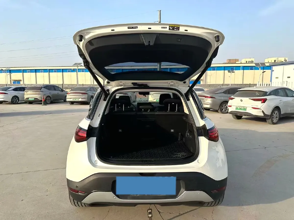 2024 Smart smart Elf 1 BEV 49KWH,autocango,china used car exporter,china ev exporter,chinese used car exporter,chinese used ev exporter