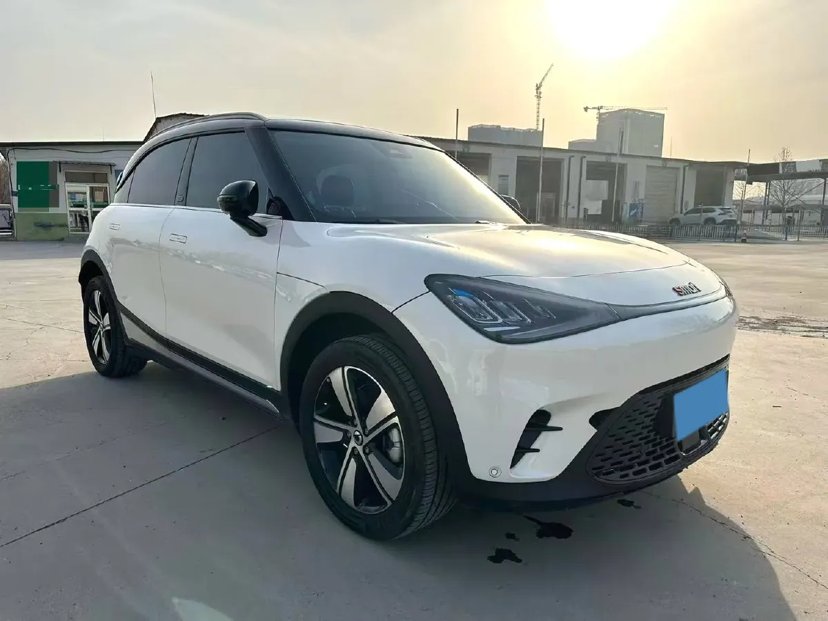 2024 Smart smart Elf 1 BEV 49KWH,autocango,china used car exporter,china ev exporter,chinese used car exporter,chinese used ev exporter