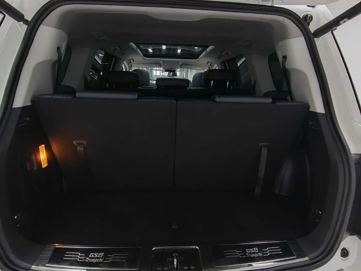 2020 GAC Trumpchi GS8 2.0T 252HP L4 6AT,autocango,china used car exporter,china ev exporter,chinese used car exporter,chinese used ev exporter