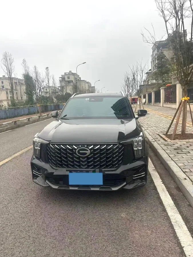 2025 GAC Trumpchi GS8 2.0T 252HP L4 8AT,autocango,china used car exporter,china ev exporter,chinese used car exporter,chinese used ev exporter