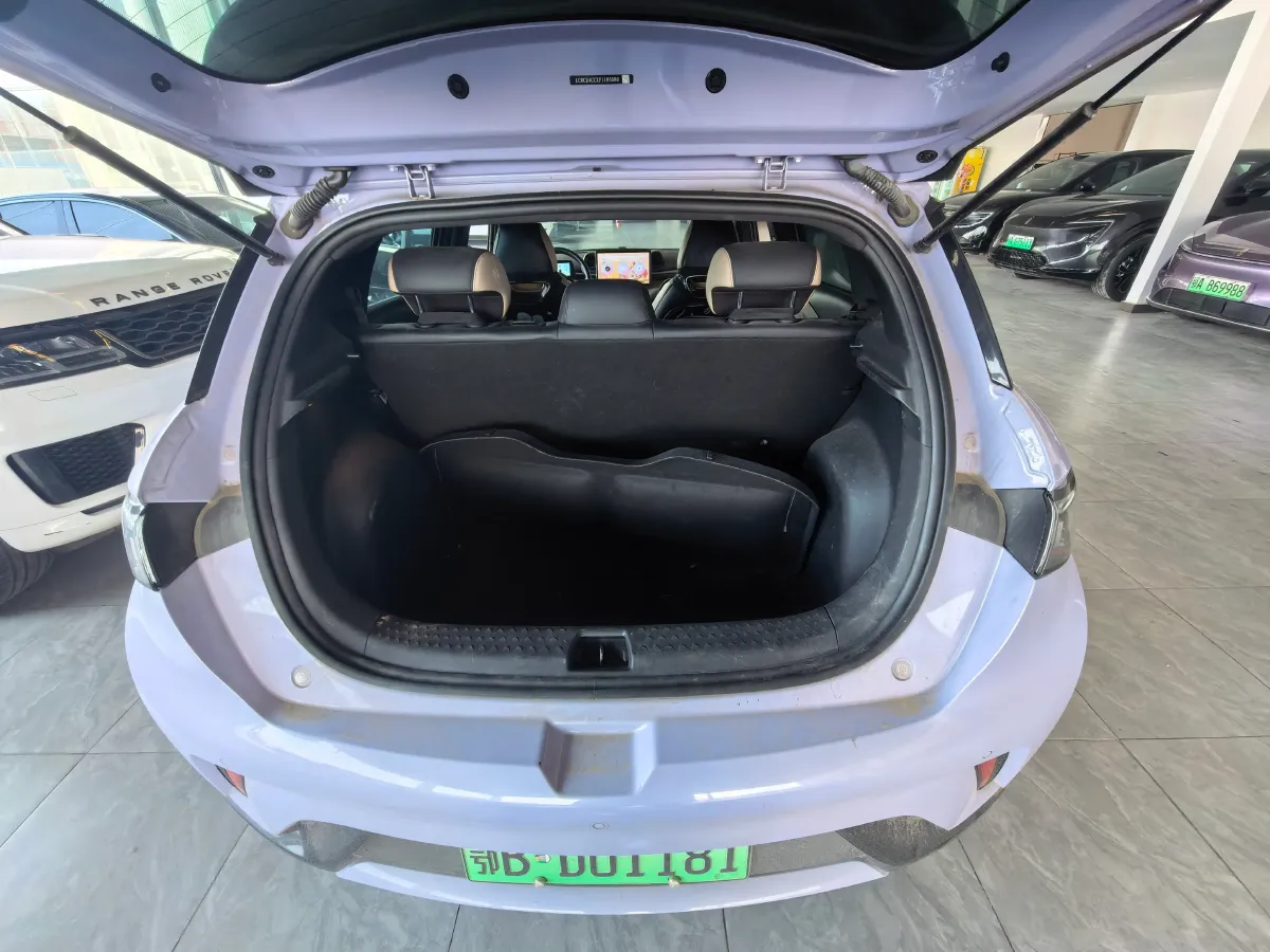 2023 BYD Dolphin BEV 44.928KWH,autocango,china used car exporter,china ev exporter,chinese used car exporter,chinese used ev exporter