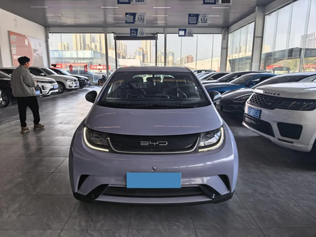 2023 BYD Dolphin BEV 44.928KWH,autocango,china used car exporter,china ev exporter,chinese used car exporter,chinese used ev exporter