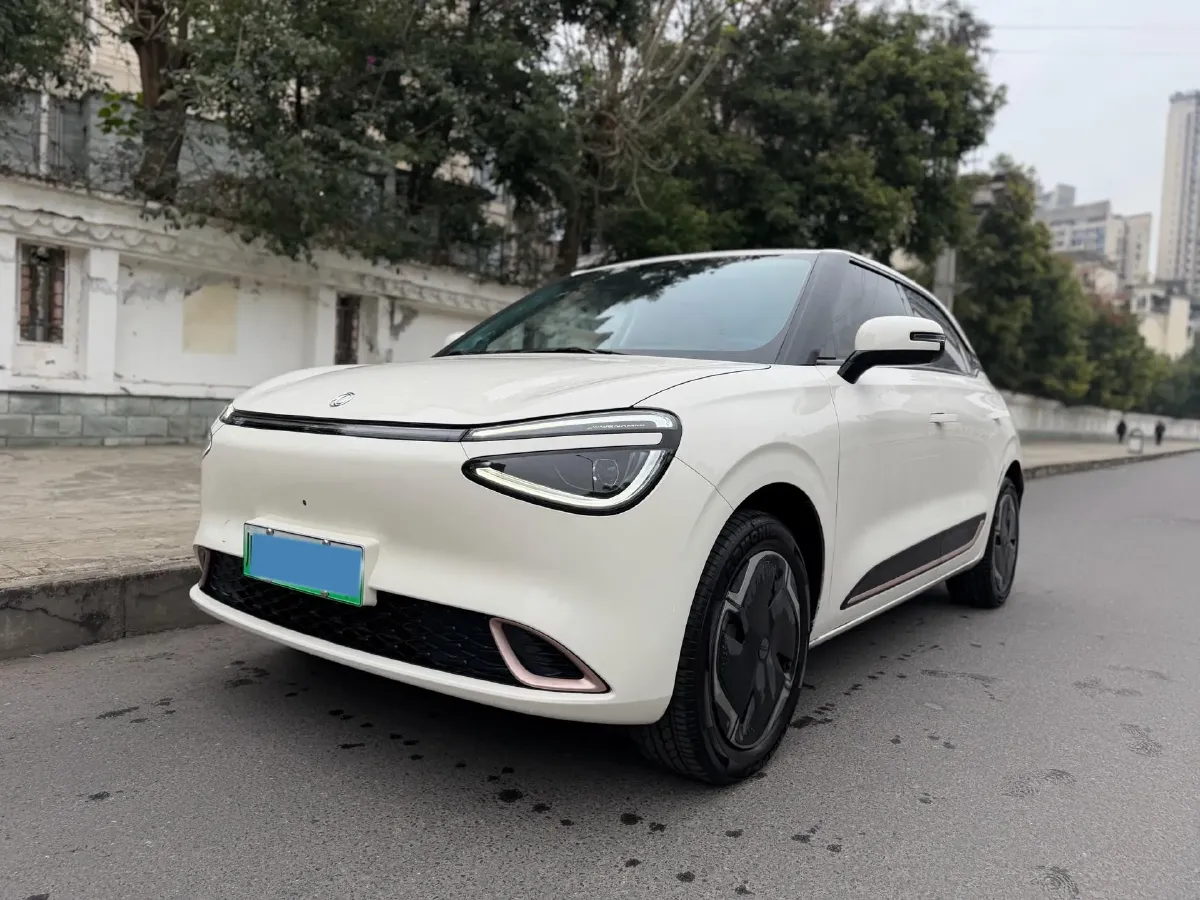 2024 DongFeng eπ 01 BEV 31.45KWH,autocango,china used car exporter,china ev exporter,chinese used car exporter,chinese used ev exporter