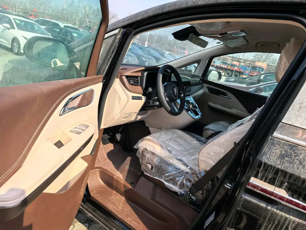 2024 HongQi HQ9 2.0T 163HP L4 1DHT PHEV 20.14KWH,autocango,china used car exporter,china ev exporter,chinese used car exporter,chinese used ev exporter