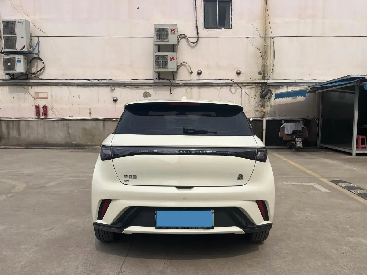 2023 BYD Dolphin BEV 44.928KWH,autocango,china used car exporter,china ev exporter,chinese used car exporter,chinese used ev exporter