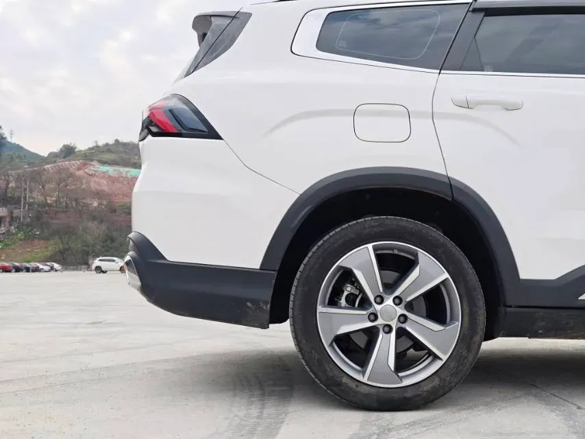 2023 Geely Okavango L 2.0T 218HP L4 7DCT,autocango,china used car exporter,china ev exporter,chinese used car exporter,chinese used ev exporter