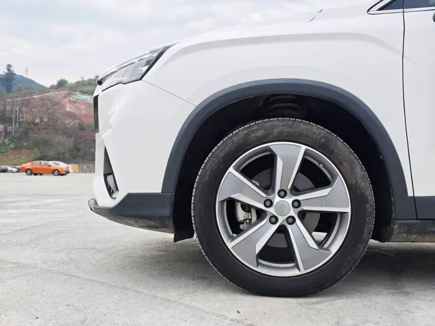 2023 Geely Okavango L 2.0T 218HP L4 7DCT,autocango,china used car exporter,china ev exporter,chinese used car exporter,chinese used ev exporter