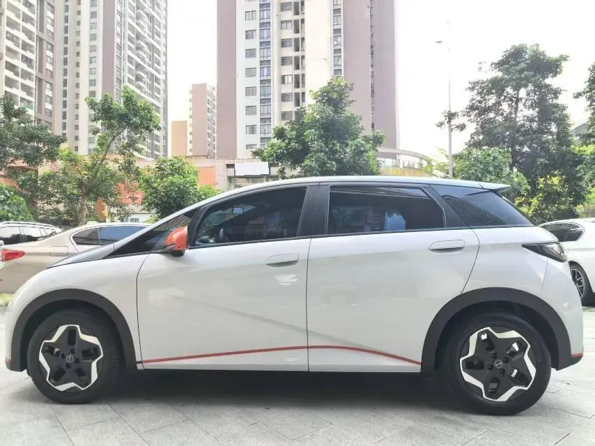 2021 BYD Yuan Pro BEV 50.1KWH,autocango,china used car exporter,china ev exporter,chinese used car exporter,chinese used ev exporter