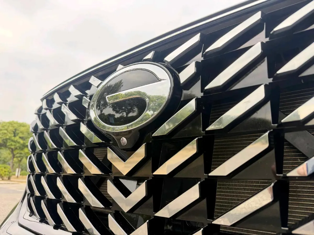 2024 GAC Trumpchi GS8 2.0T 252HP L4 8AT,autocango,china used car exporter,china ev exporter,chinese used car exporter,chinese used ev exporter