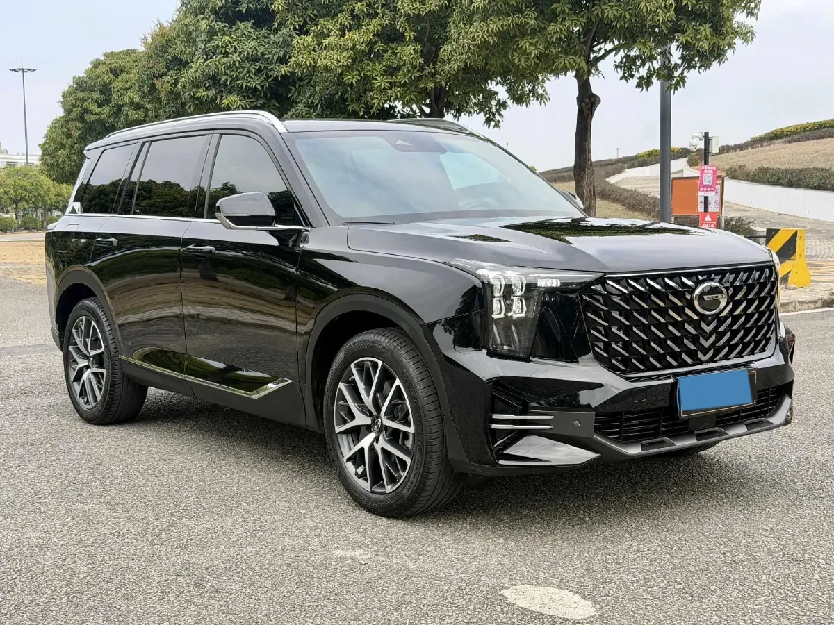 2024 GAC Trumpchi GS8 2.0T 252HP L4 8AT,autocango,china used car exporter,china ev exporter,chinese used car exporter,chinese used ev exporter