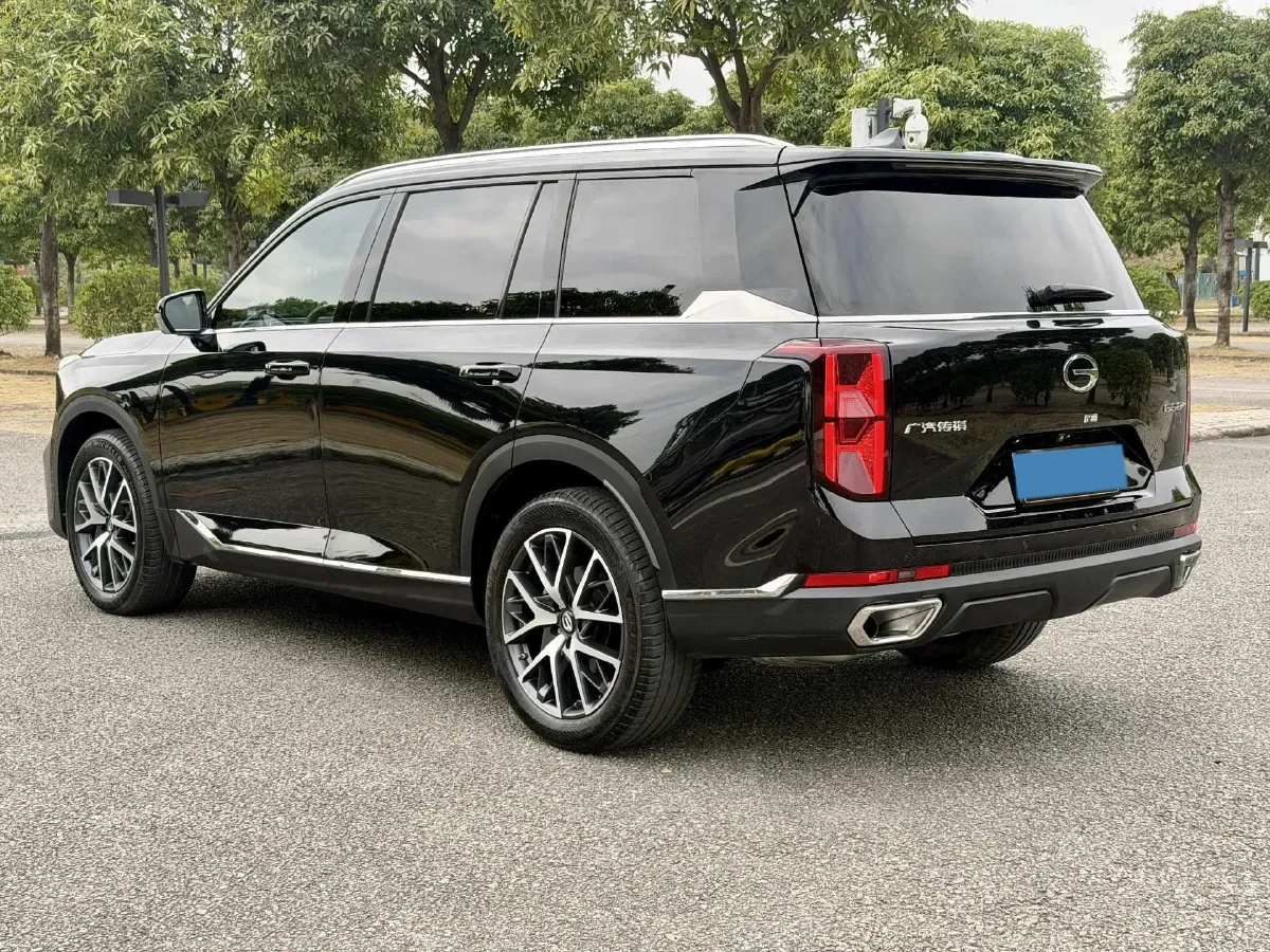 2024 GAC Trumpchi GS8 2.0T 252HP L4 8AT,autocango,china used car exporter,china ev exporter,chinese used car exporter,chinese used ev exporter