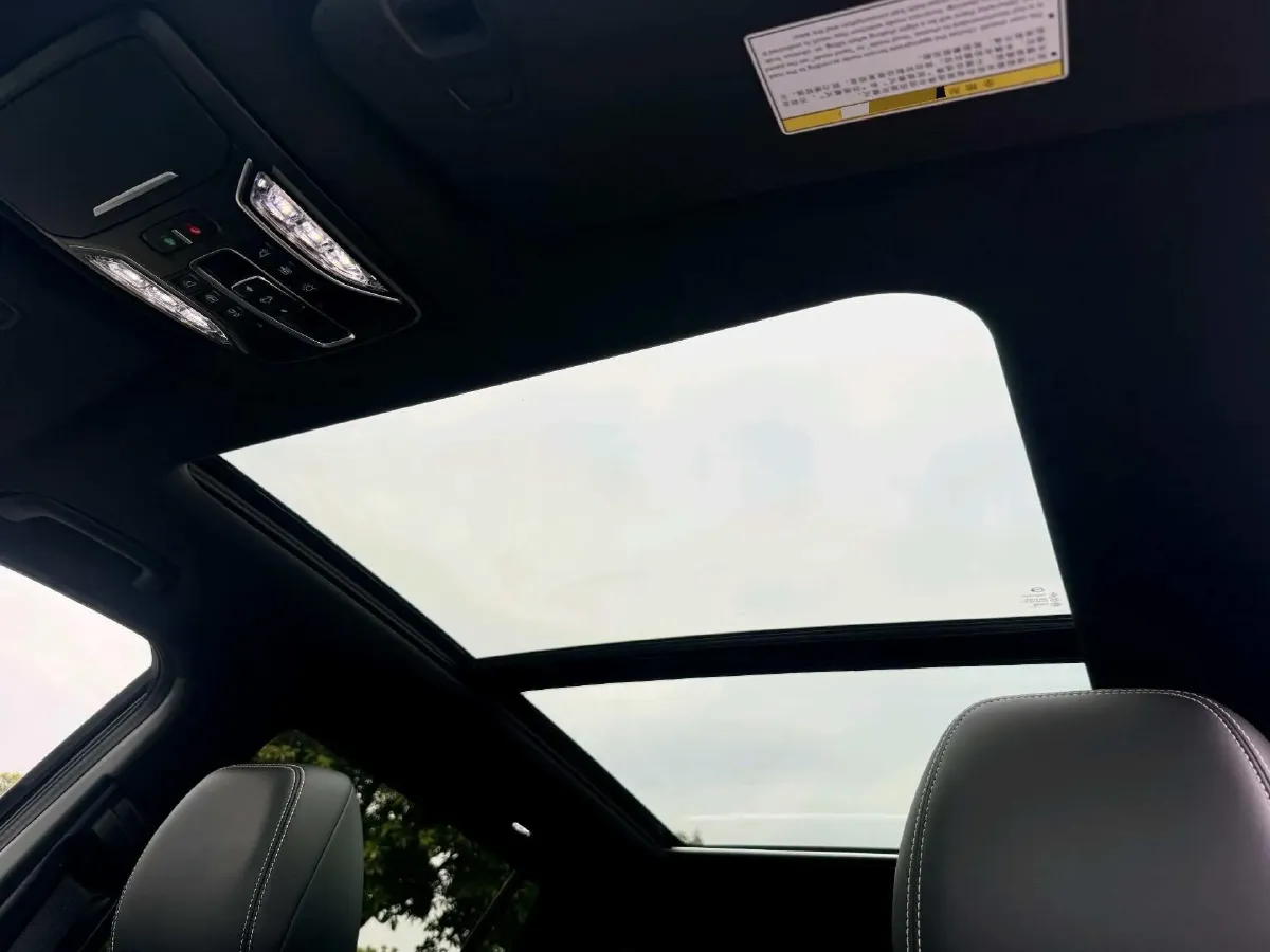 2024 GAC Trumpchi GS8 2.0T 252HP L4 8AT,autocango,china used car exporter,china ev exporter,chinese used car exporter,chinese used ev exporter