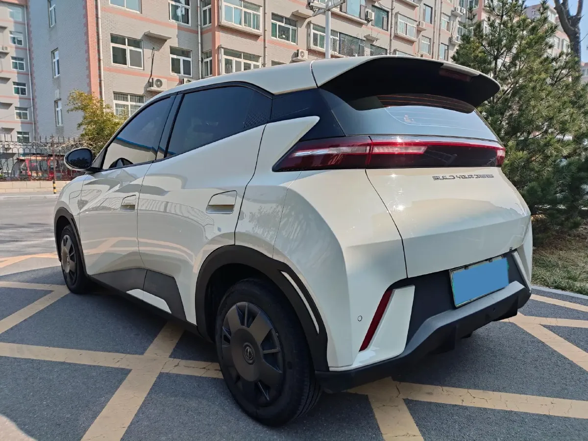 2024 BYD Seagull BEV 30.08KWH,autocango,china used car exporter,china ev exporter,chinese used car exporter,chinese used ev exporter