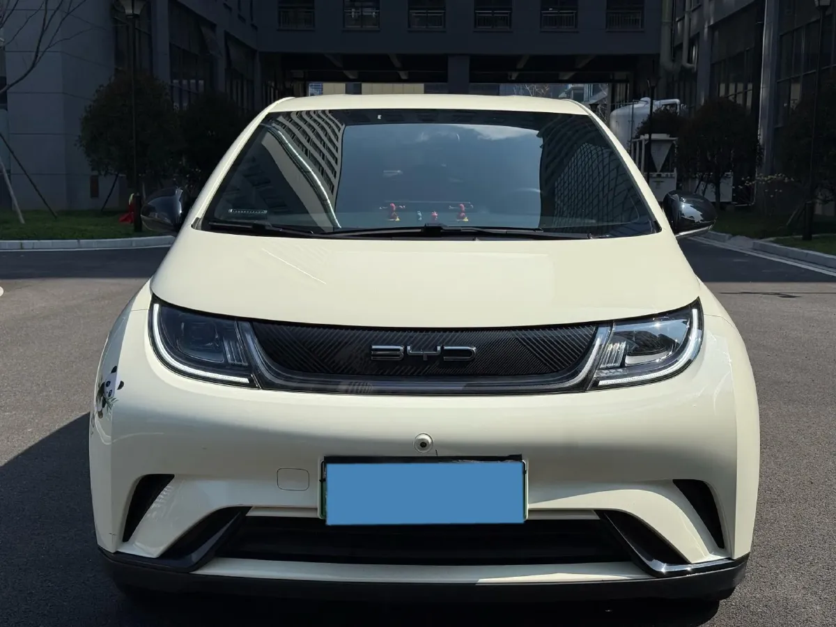 2023 BYD Dolphin BEV 44.928KWH,autocango,china used car exporter,china ev exporter,chinese used car exporter,chinese used ev exporter