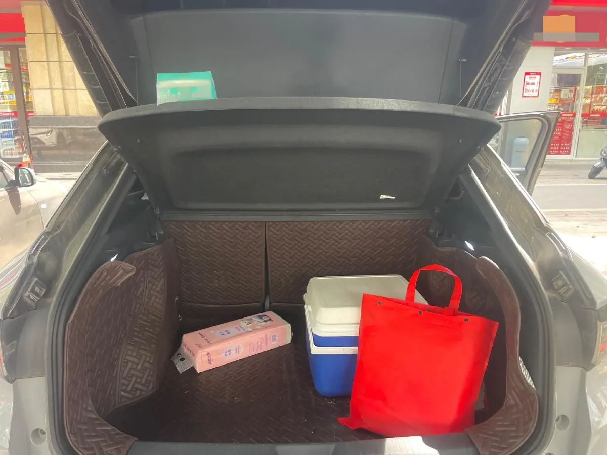 2021 Xpeng P5 BEV 71.4KWH,autocango,china used car exporter,china ev exporter,chinese used car exporter,chinese used ev exporter