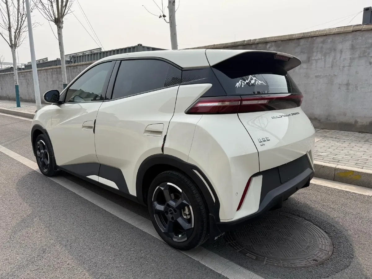 2023 BYD Seagull BEV 30.08KWH,autocango,china used car exporter,china ev exporter,chinese used car exporter,chinese used ev exporter