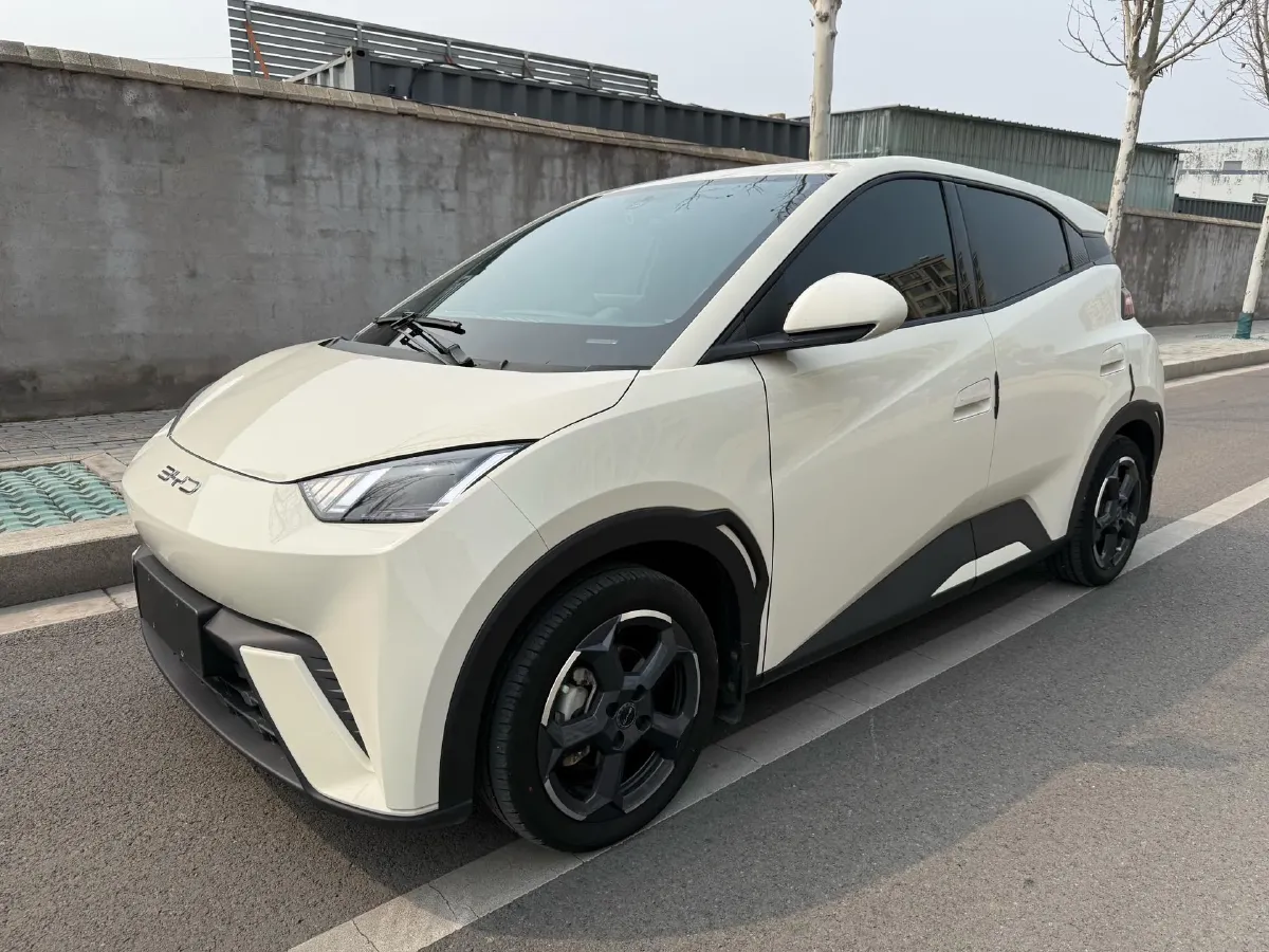 2023 BYD Seagull BEV 30.08KWH,autocango,china used car exporter,china ev exporter,chinese used car exporter,chinese used ev exporter