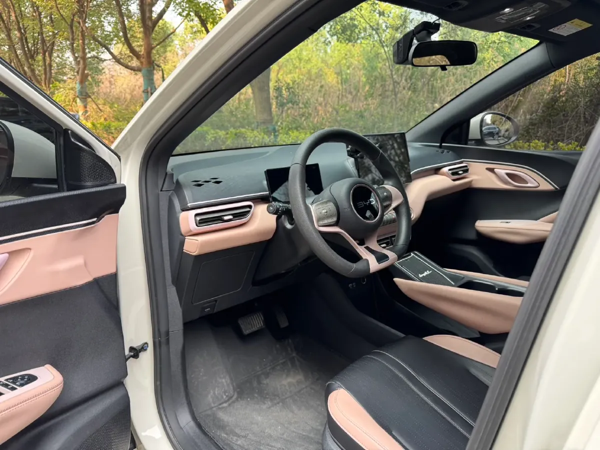 2024 BYD Seagull BEV 30.08KWH,autocango,china used car exporter,china ev exporter,chinese used car exporter,chinese used ev exporter