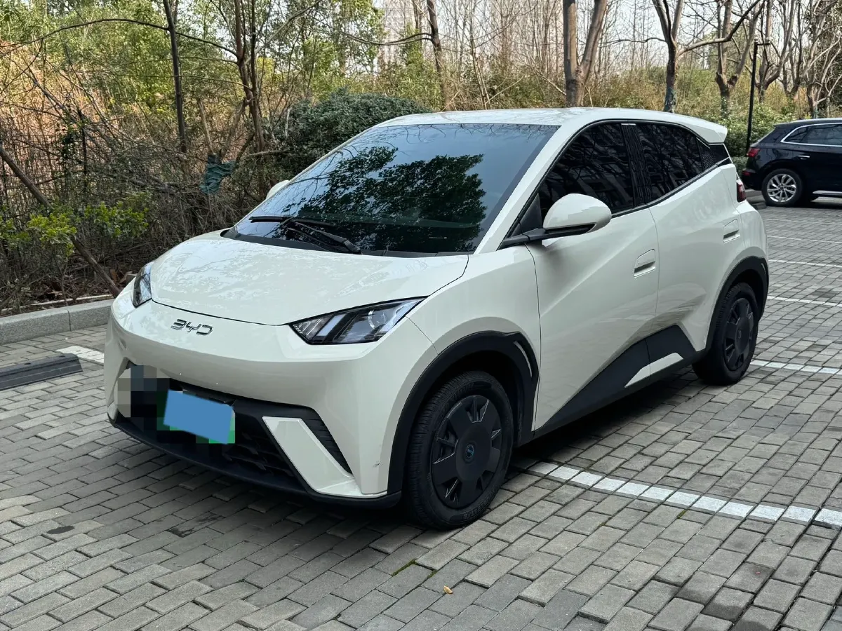 2024 BYD Seagull BEV 30.08KWH,autocango,china used car exporter,china ev exporter,chinese used car exporter,chinese used ev exporter